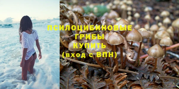 mdpv Беломорск