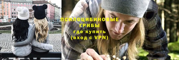 дмт Белокуриха